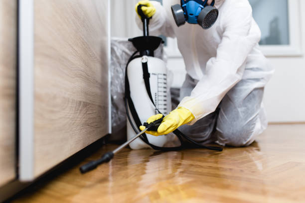 Best Flea Control Services  in Glasgow, MO