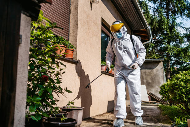 Best Cockroach Control Services  in Glasgow, MO