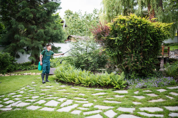 Best Mosquito Control Services  in Glasgow, MO