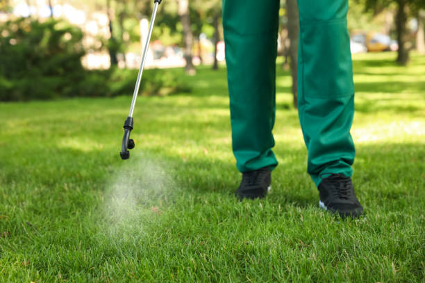 Reliable Glasgow, MO Pest Control Solutions