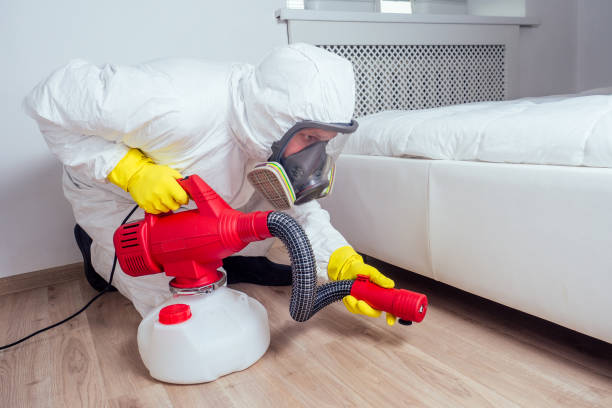 Best Termite Control Services  in Glasgow, MO