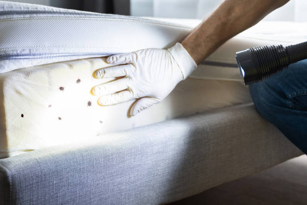  Glasgow, MO Pest Control Pros