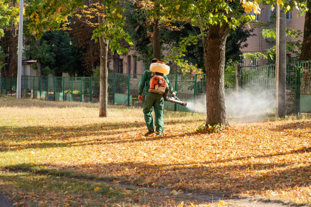 Best Affordable Pest Control Services  in Glasgow, MO