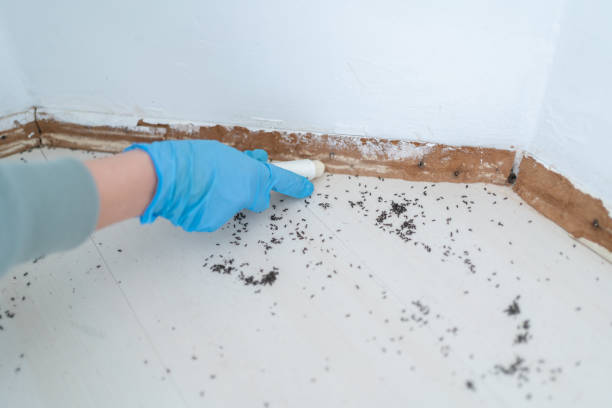 Best Affordable Pest Control Services  in Glasgow, MO